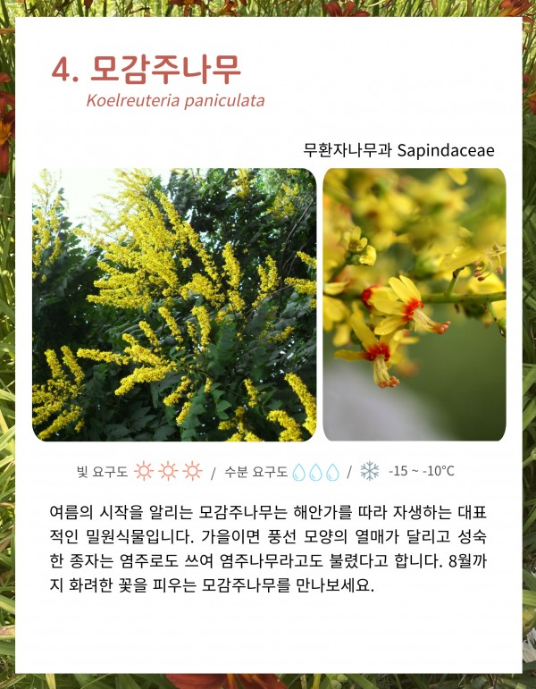 bfa5e4f8fc2ef490bd95bc6a87c7b923_1657264