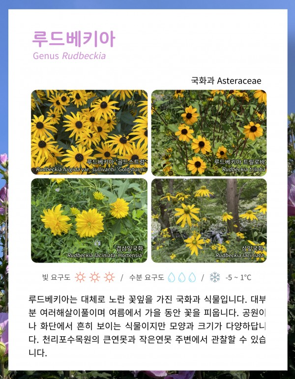 dcc38d57dec2cbceb817268a65857216_1659673