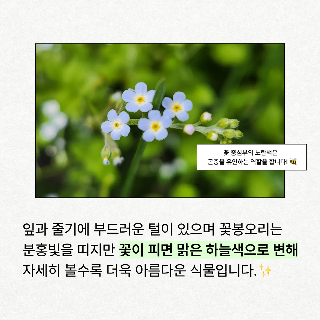 ade36cd8a99a3.png