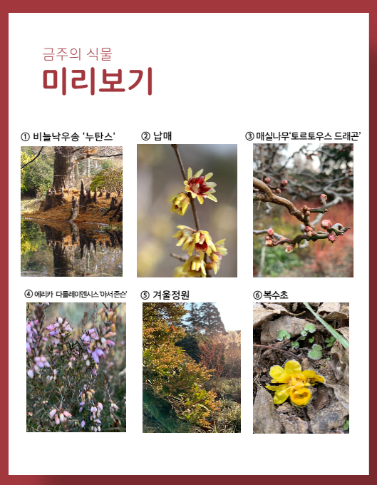 eeec0cd2d7c754d5645d7aec68401c51_1672995