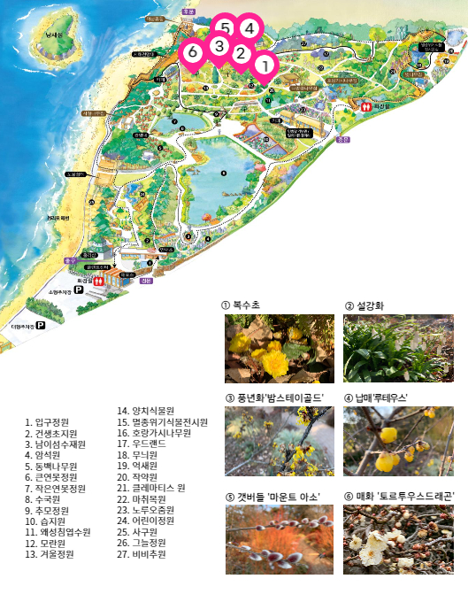 b20642cdeff64.png