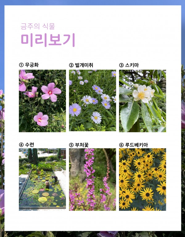 dcc38d57dec2cbceb817268a65857216_1659673