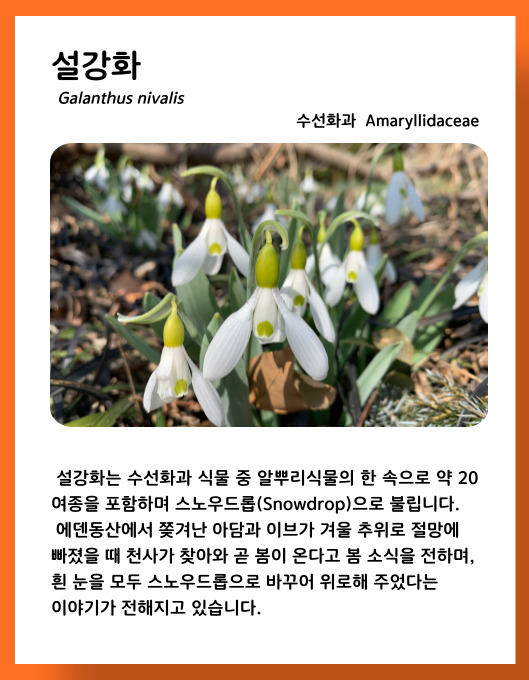 e2e313c027dfbb0996a1aa3a16700204_1678449