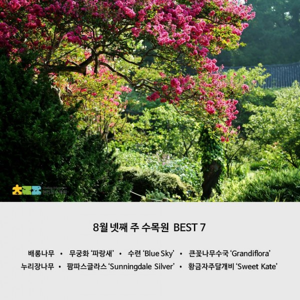 bd066c54124d8.png