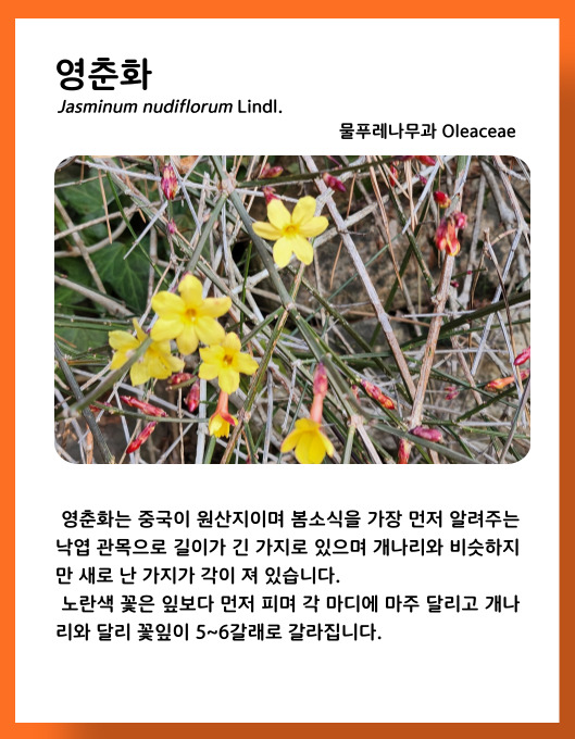 e2e313c027dfbb0996a1aa3a16700204_1678449