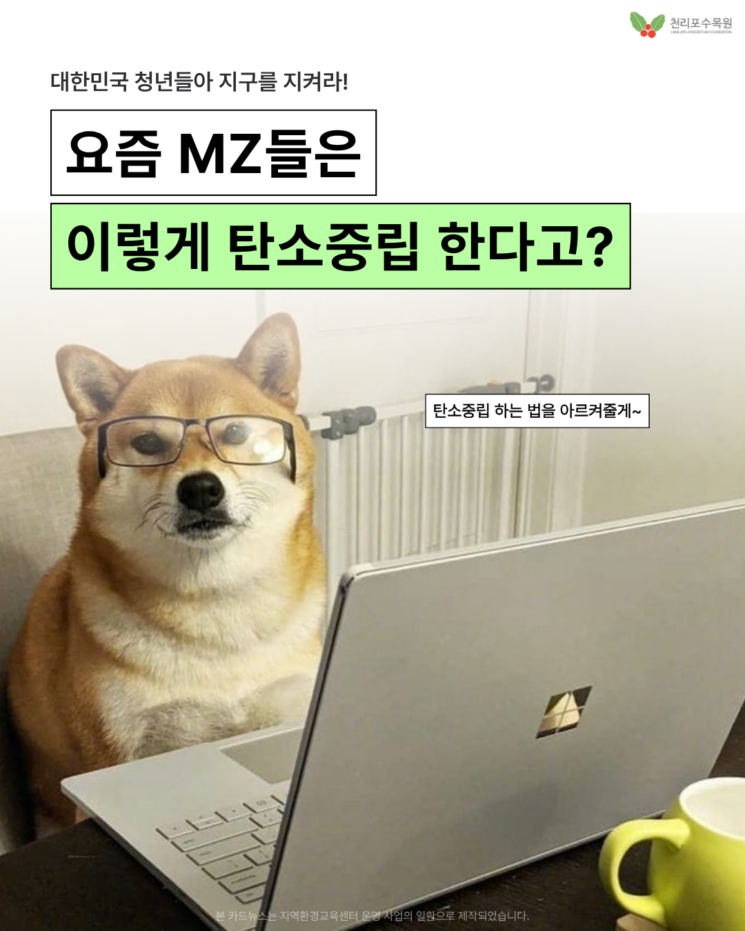 cdc308d4b9a87.png