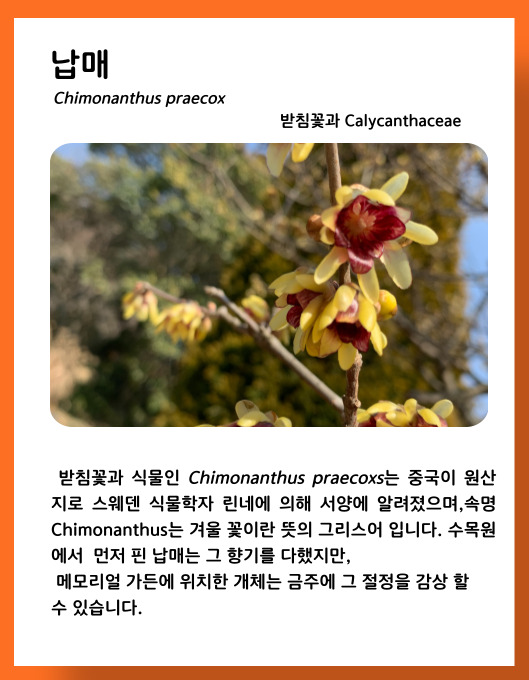 e2e313c027dfbb0996a1aa3a16700204_1678449