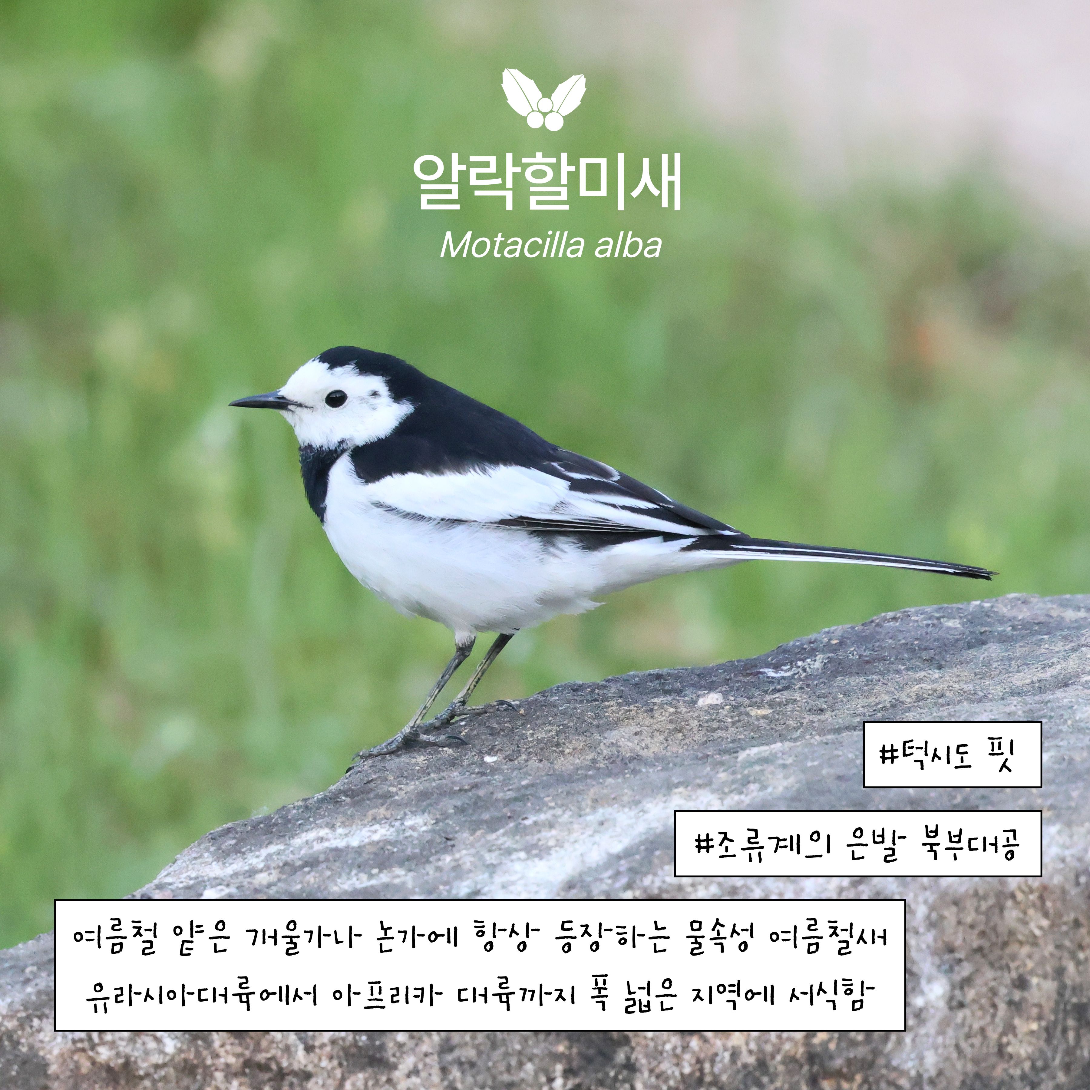 d46bee4b124e3.jpeg