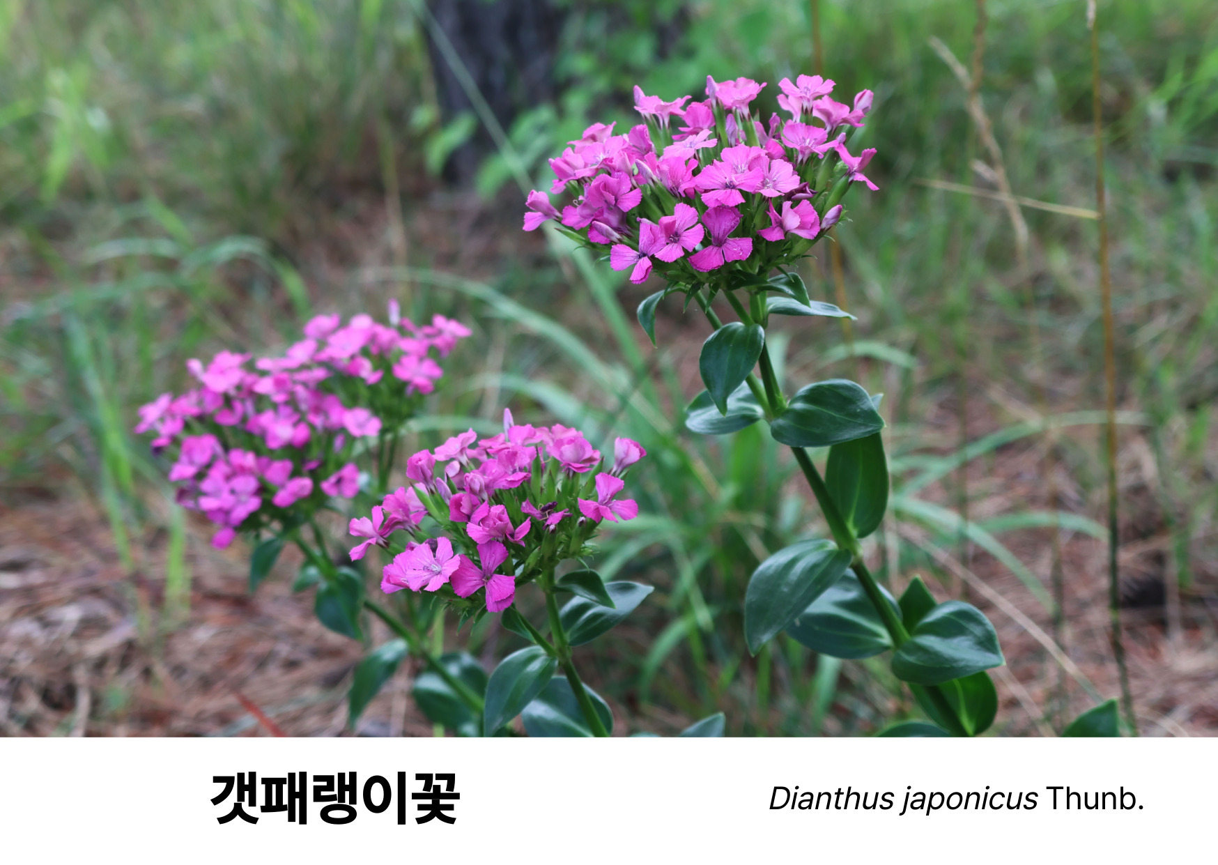 d6d56f5501754.jpeg