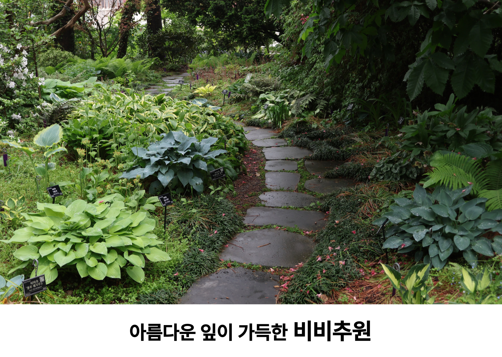 d77fbab86625d.jpg
