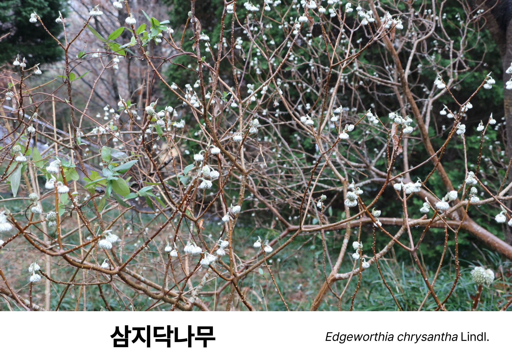 d993ef237fb97.jpg