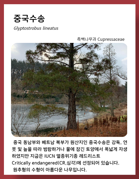 ff951064f5e2dcbcb663bea9fb323a6b_1673549