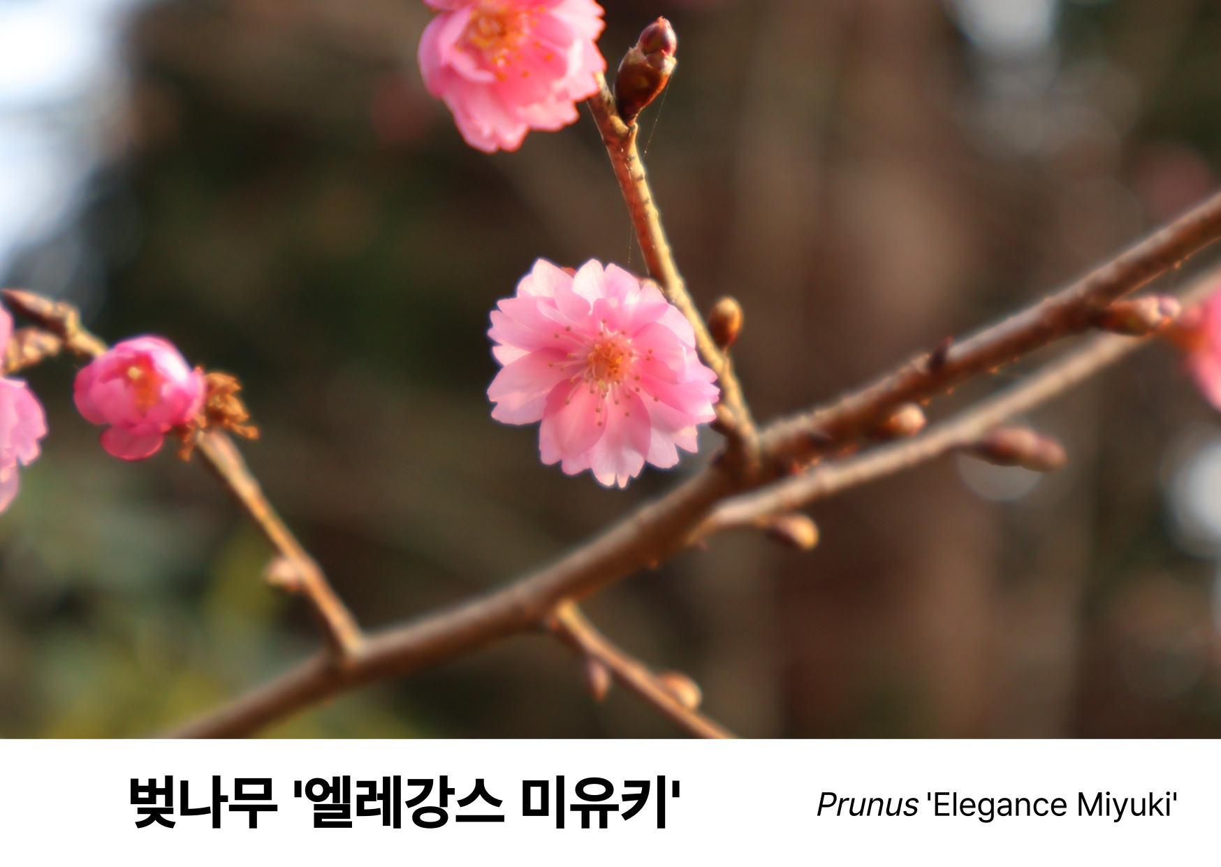 df08f005216ab.jpg