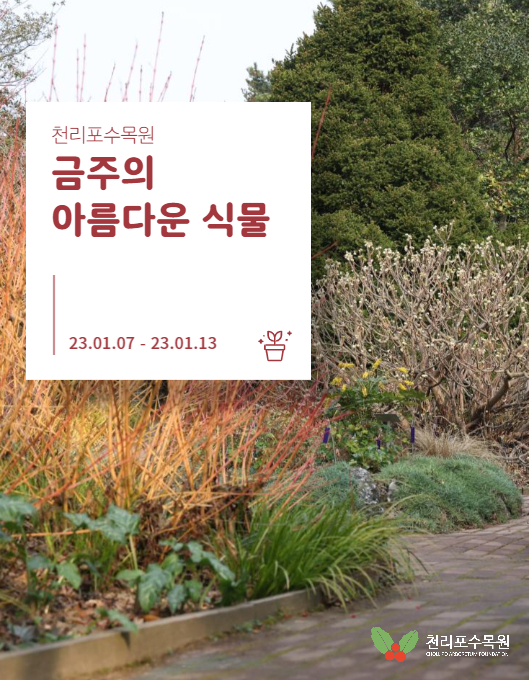 eeec0cd2d7c754d5645d7aec68401c51_1672995