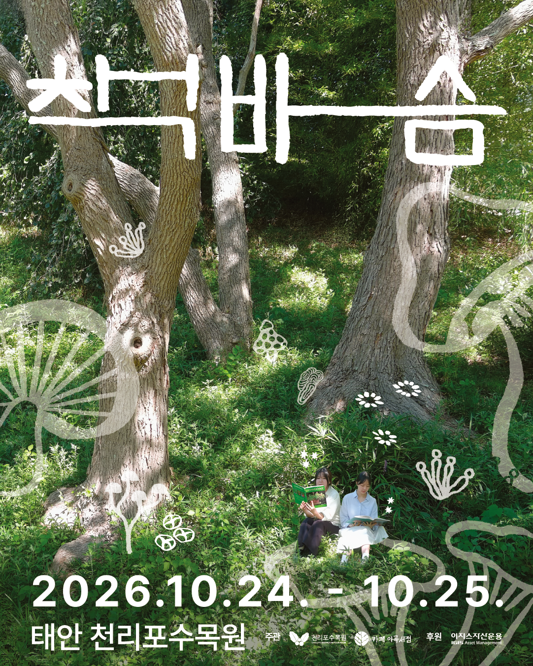 e3f595e50e964.png
