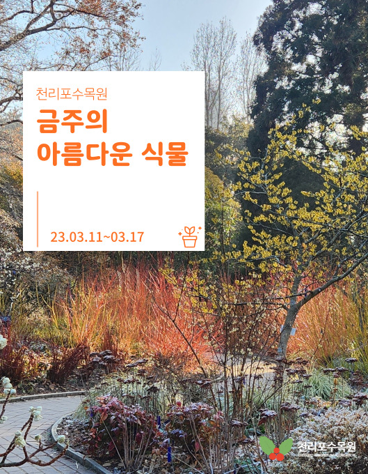 e2e313c027dfbb0996a1aa3a16700204_1678449