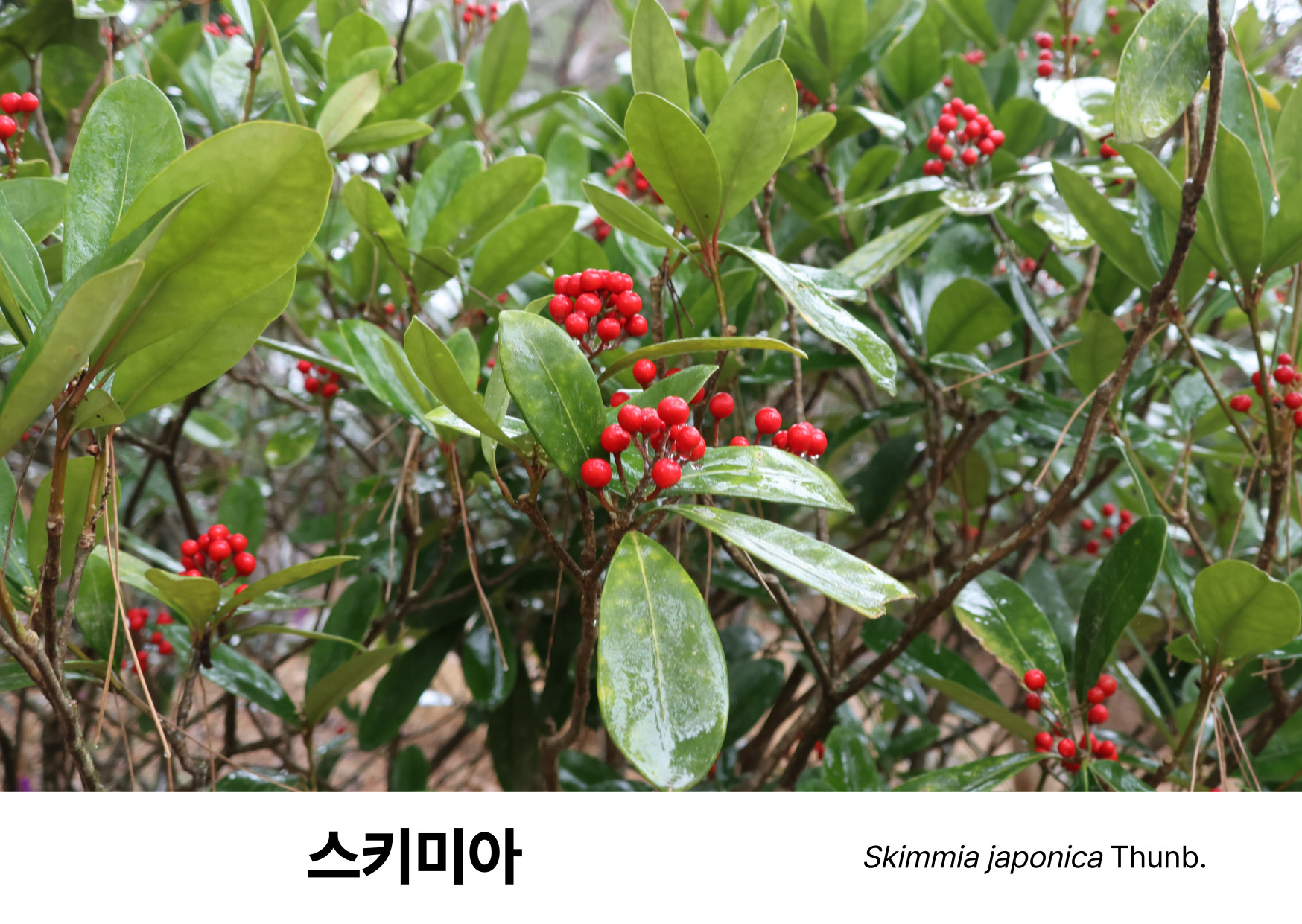 edfc58678eae4.jpg