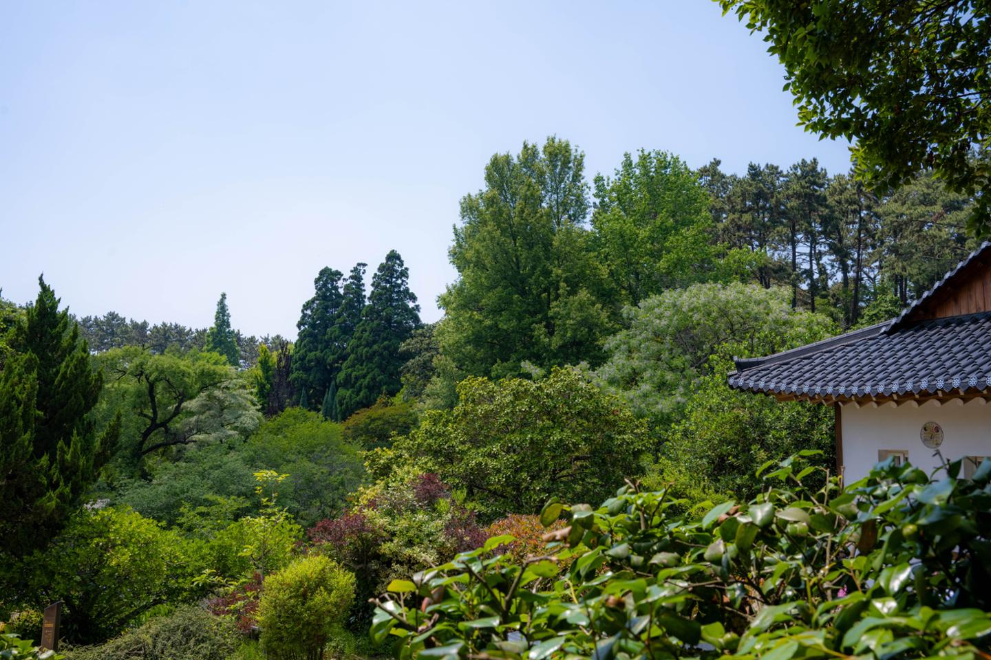 f1e65e87fd993.jpg