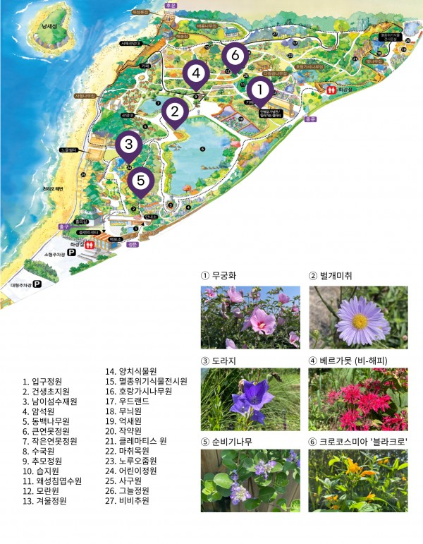 dcc38d57dec2cbceb817268a65857216_1659673