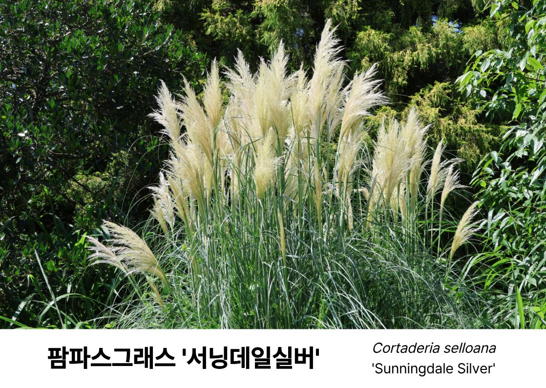 f519f3d961eab.jpg