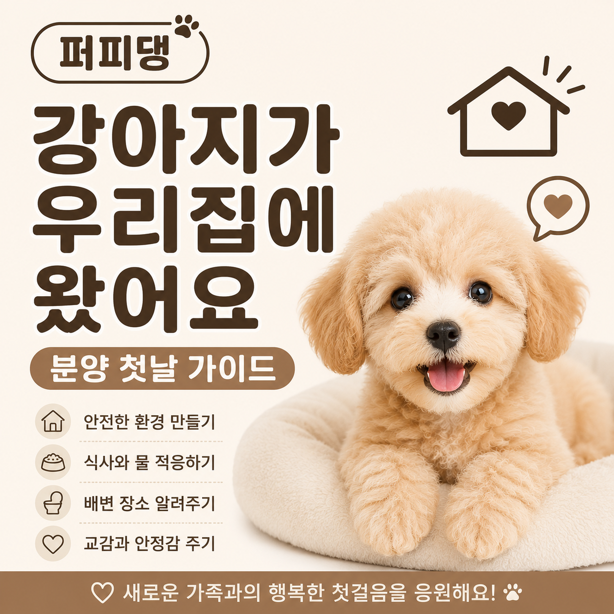 강아지가 우리집에 왔어요, 분양 첫날 가이드