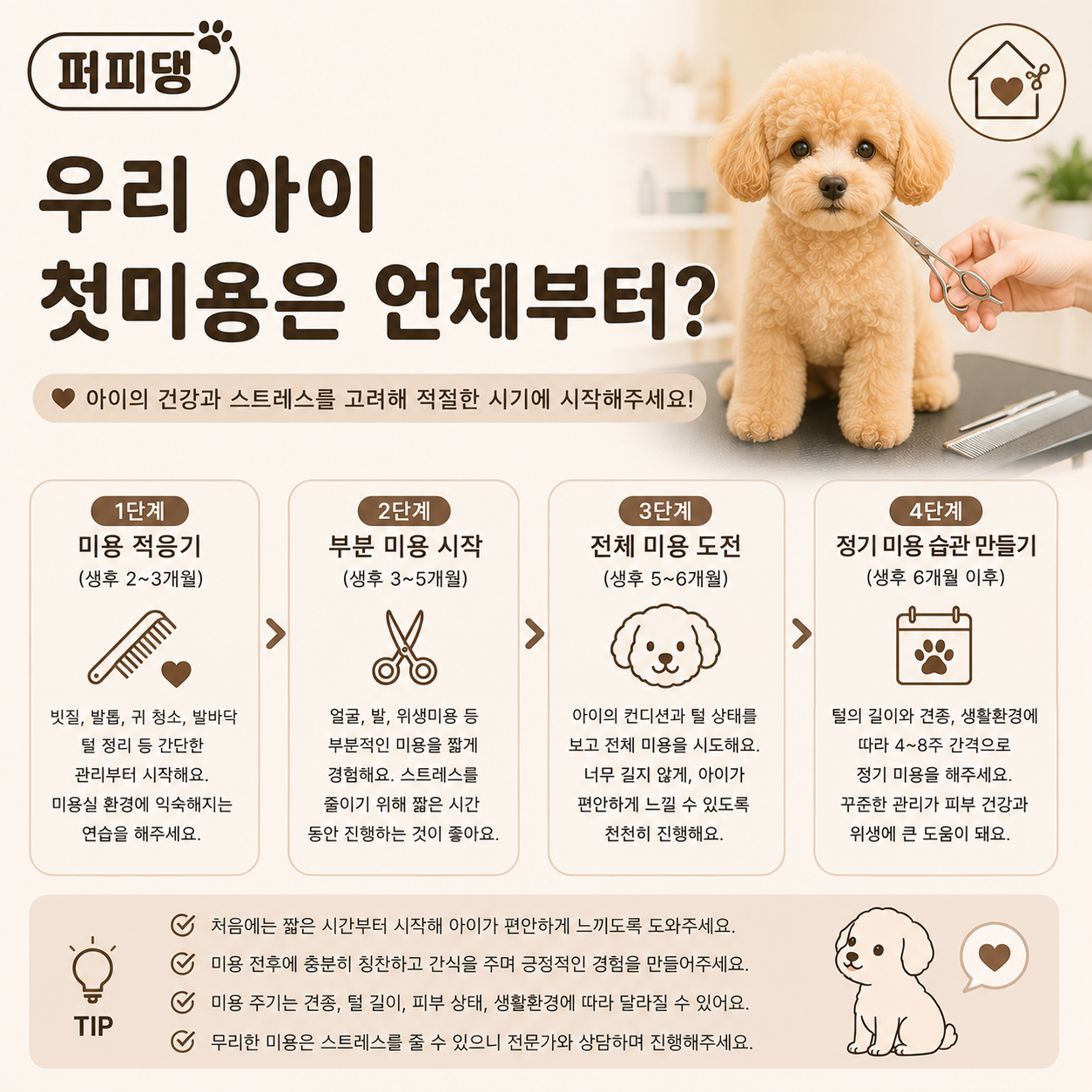 우리 아이 첫미용은 언제부터 해야 할까요?