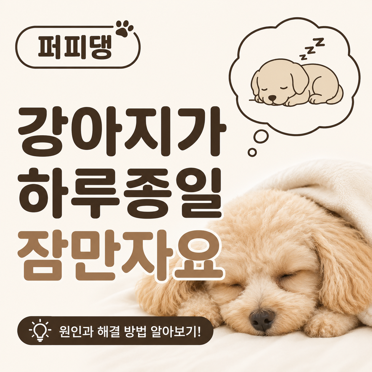 강아지가 하루종일 잠만 자요, 괜찮은 걸까요?