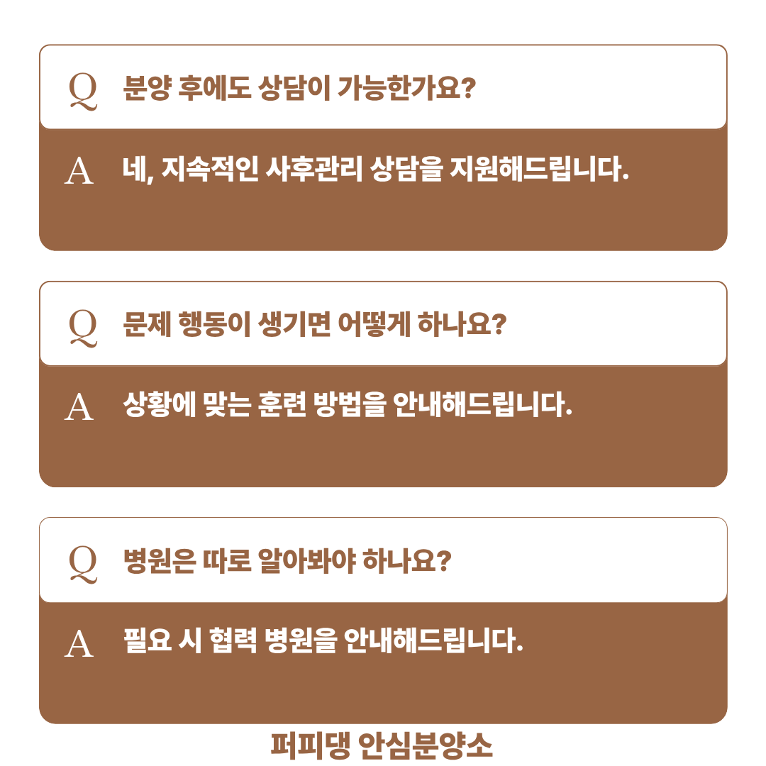b900e219f71c7.png