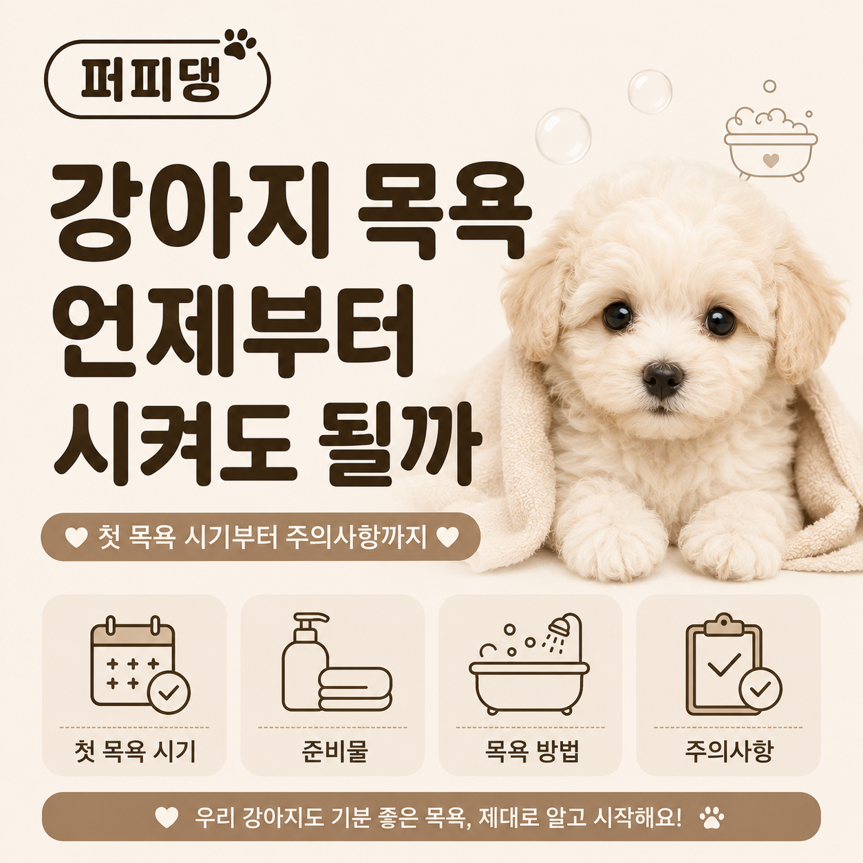 d322826041dfd.png