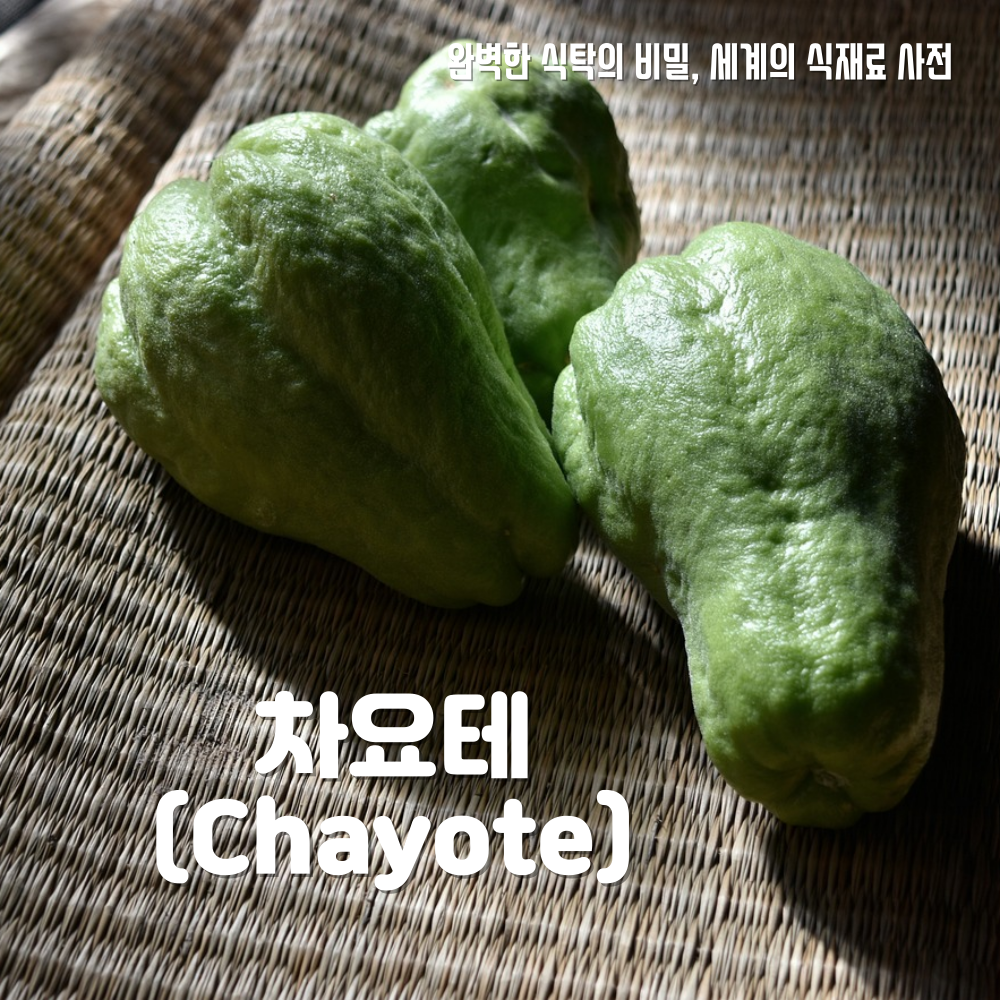 차요테(Chayote) – 완벽한 식탁의 비밀, 세계의 식재료 사전 : FOOD