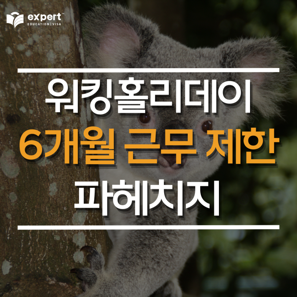 abde546613520.png