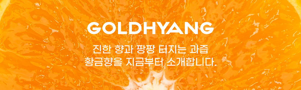제주 황금향 가정용