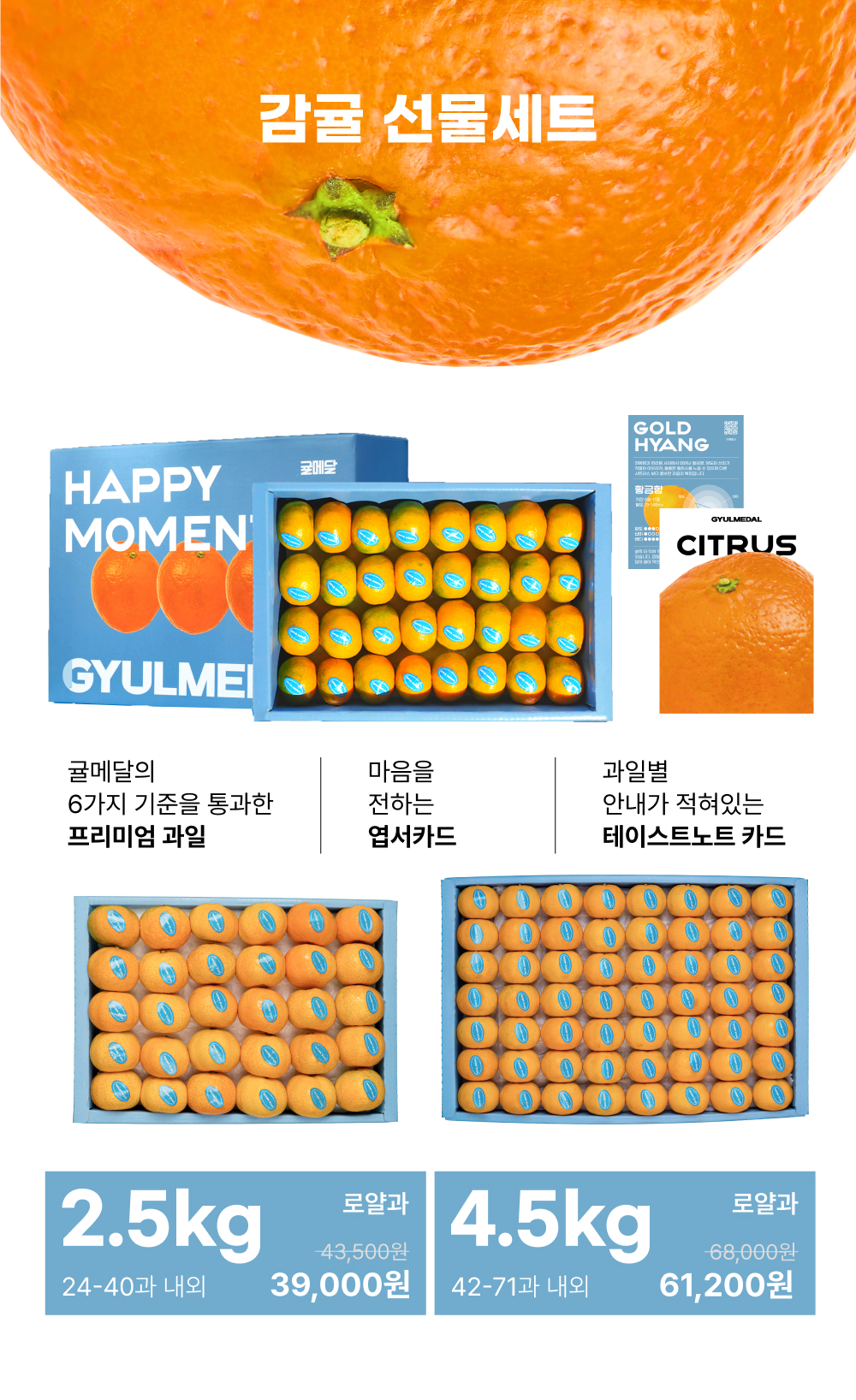 [얼리버드 특가] 제주 감귤 선물세트