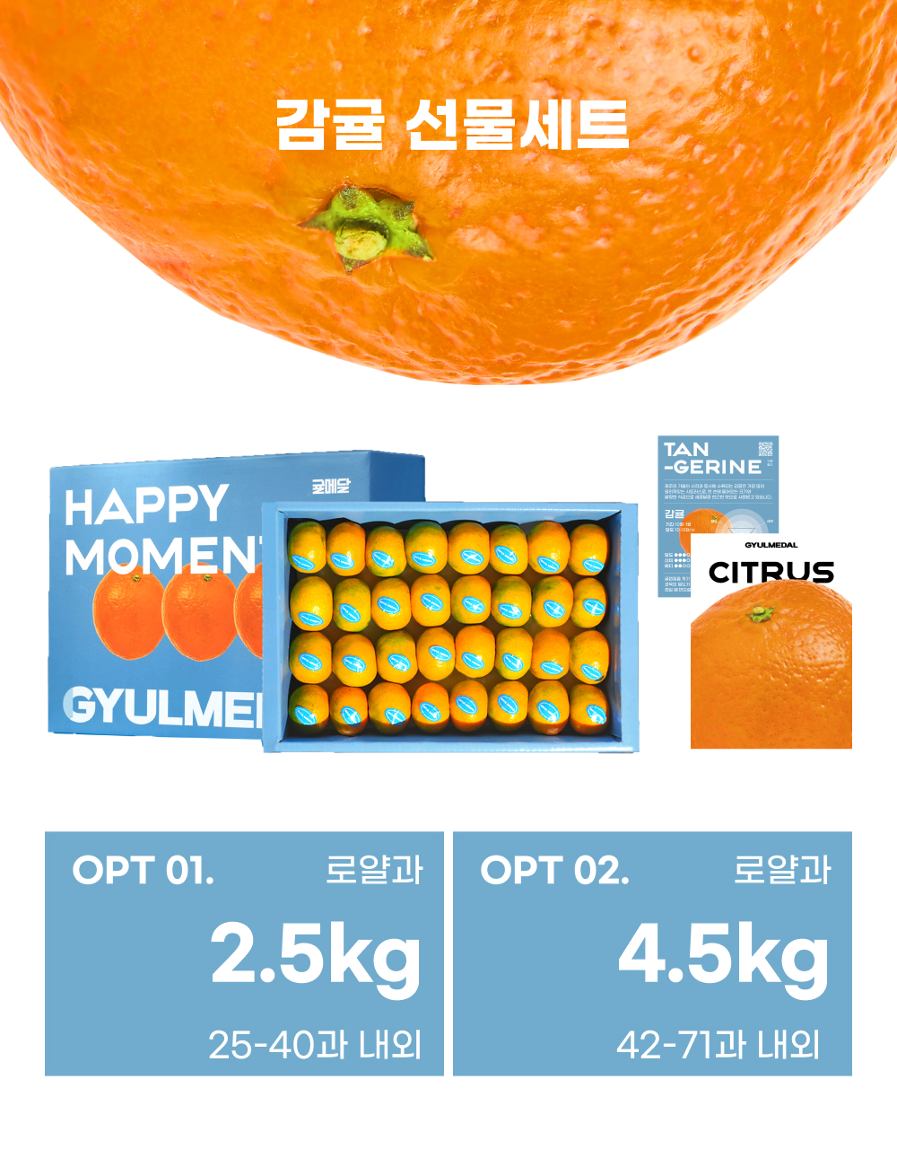 [얼리버드 특가] 제주 감귤 선물세트