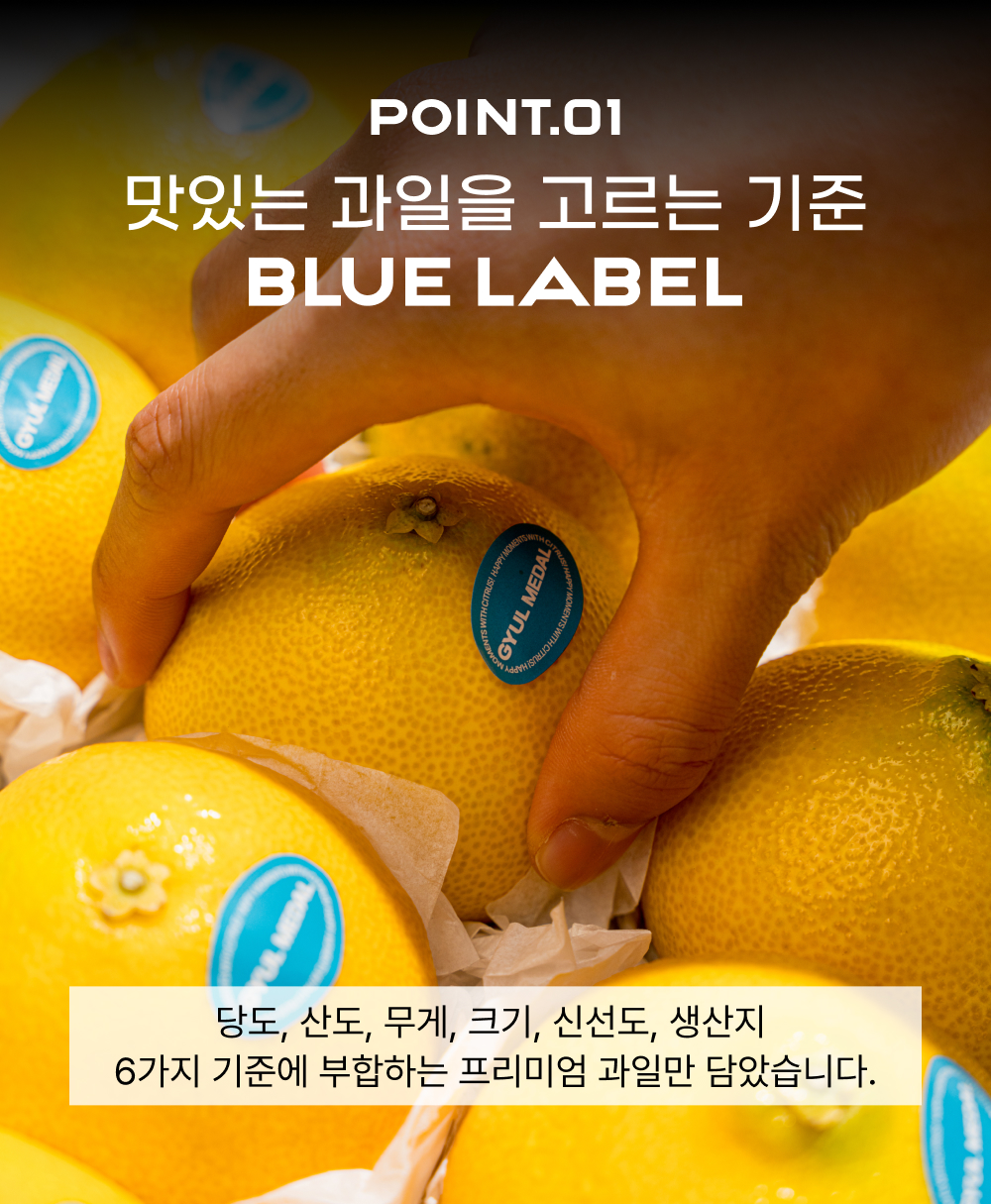 [얼리버드 특가] 황금향 선물세트