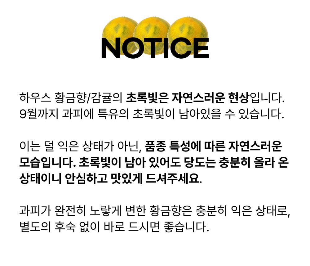 [얼리버드 특가] 제주 감귤 선물세트