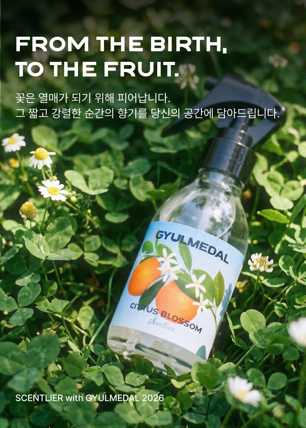 귤메달 X 센틀리에 시트러스 블라썸 기획세트