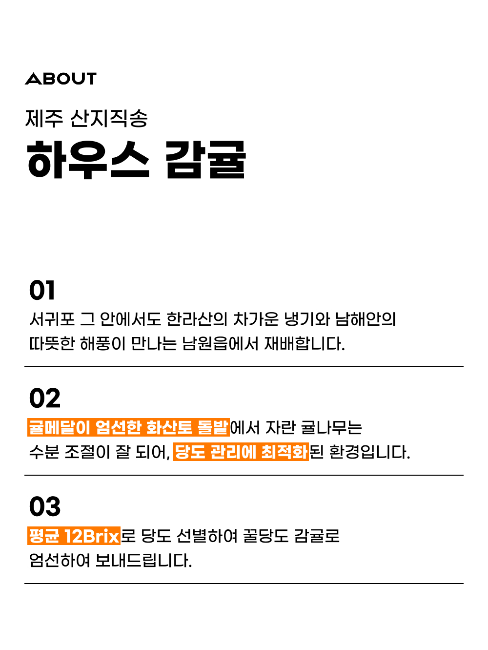 제주 하우스감귤 | 평균 12Brix 꿀당도