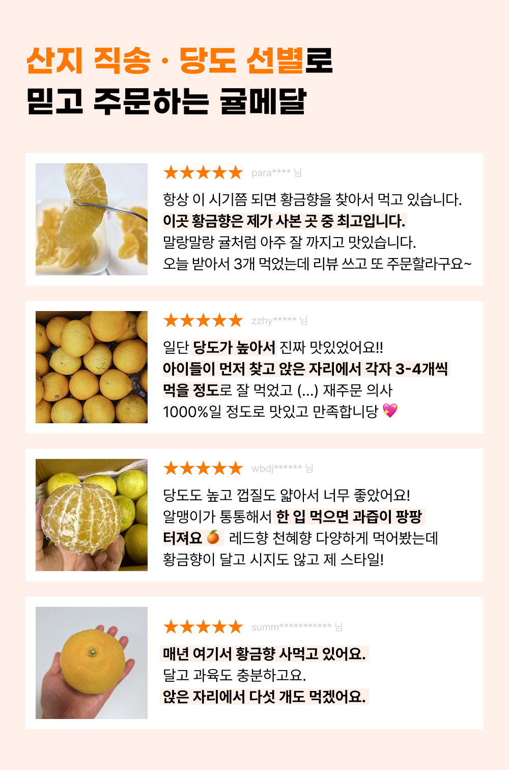 제주 황금향 가정용