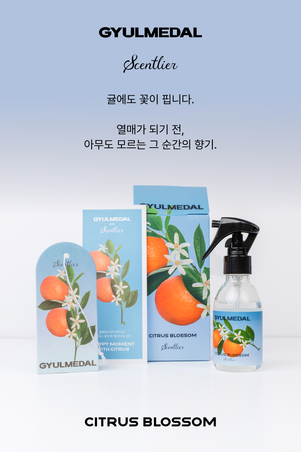 귤메달 X 센틀리에 오렌지블라썸 기획세트