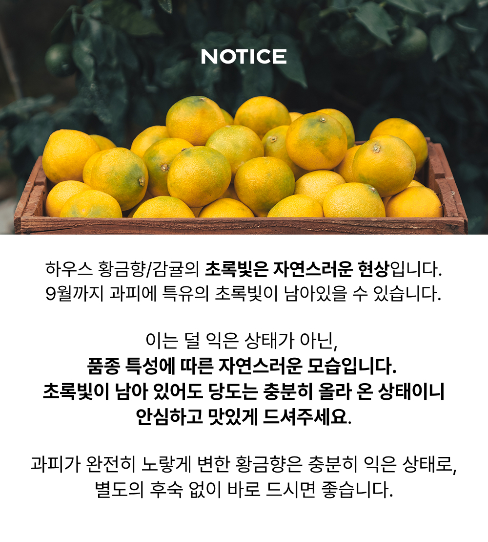 [얼리버드 특가] 황금향 선물세트