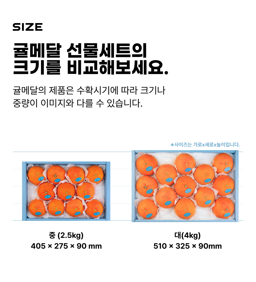 251229_설_17.jpg