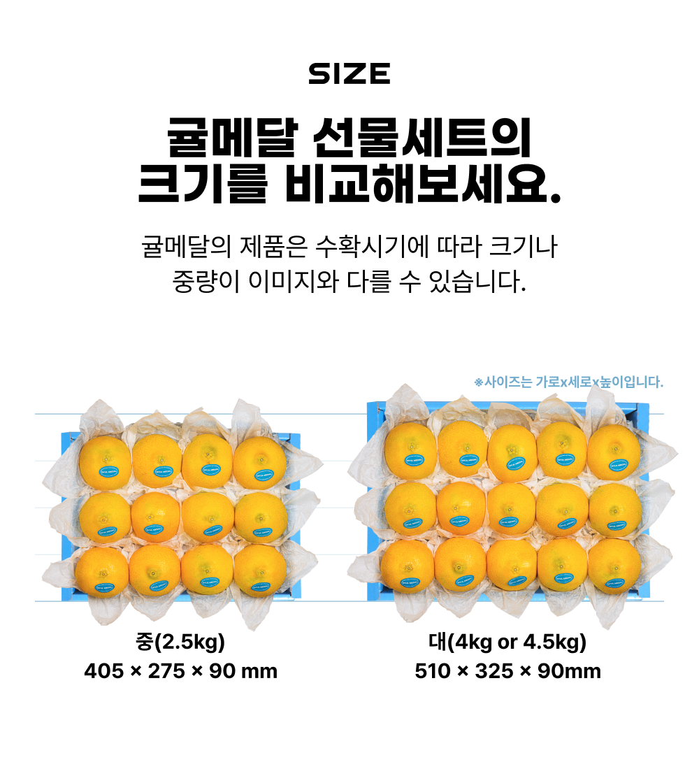 [얼리버드 특가] 황금향 선물세트
