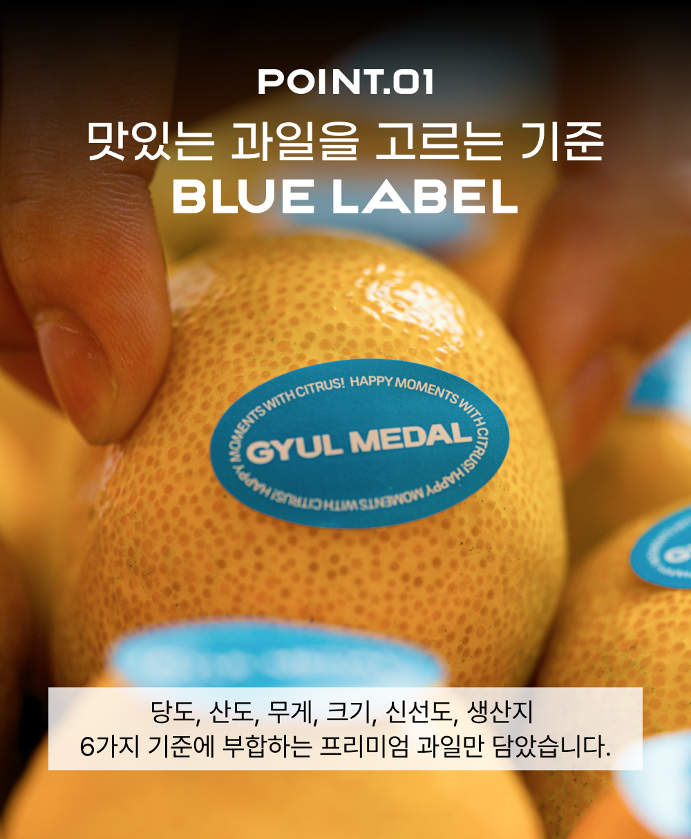 [얼리버드 특가] 제주 감귤 선물세트