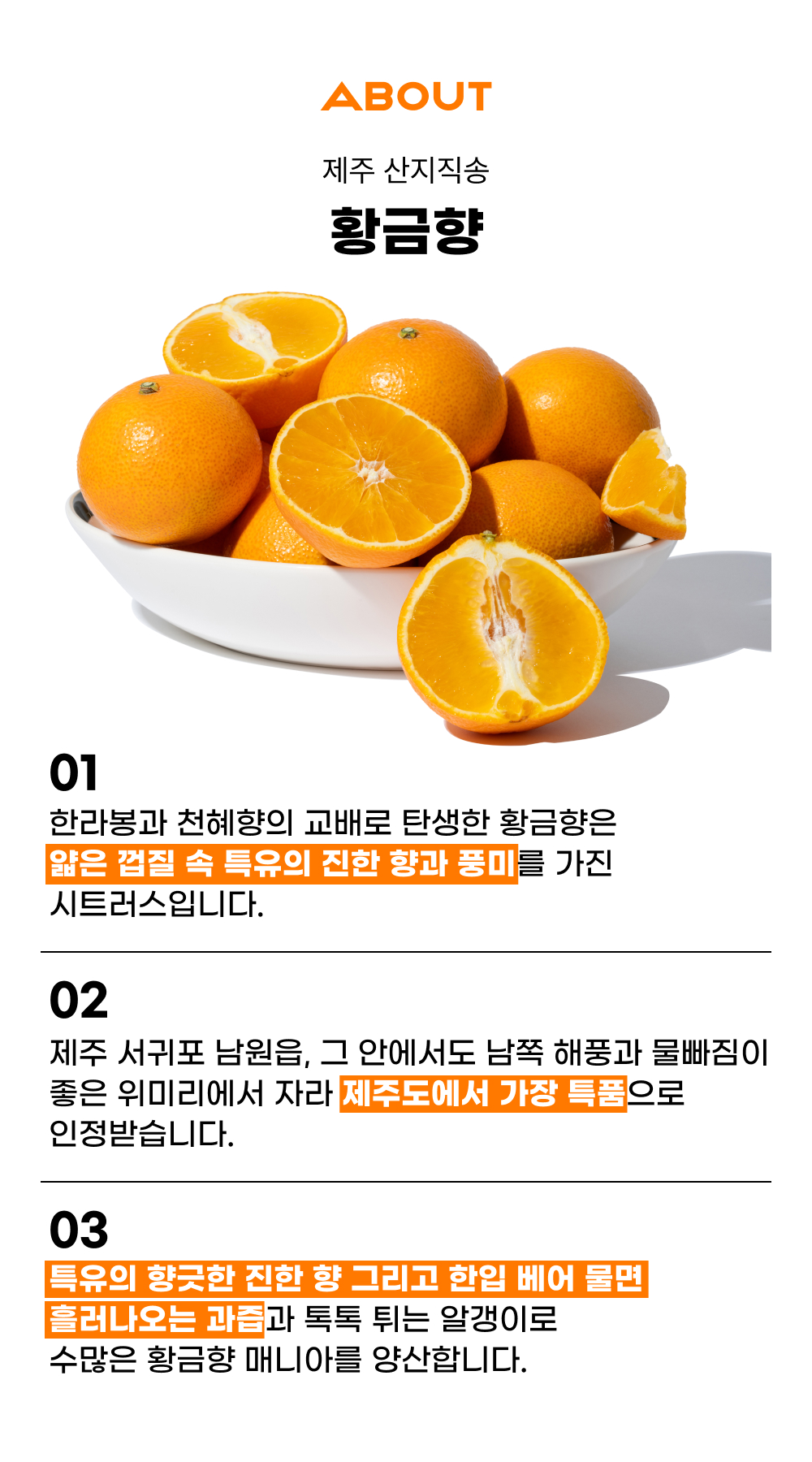 제주 황금향 가정용