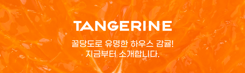 제주 하우스감귤 | 평균 12Brix 꿀당도