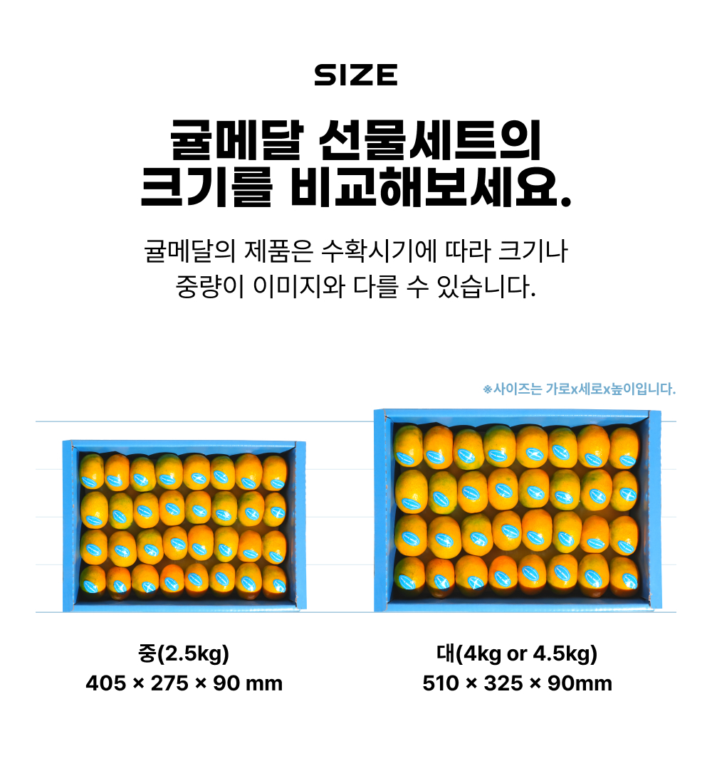 [얼리버드 특가] 제주 감귤 선물세트