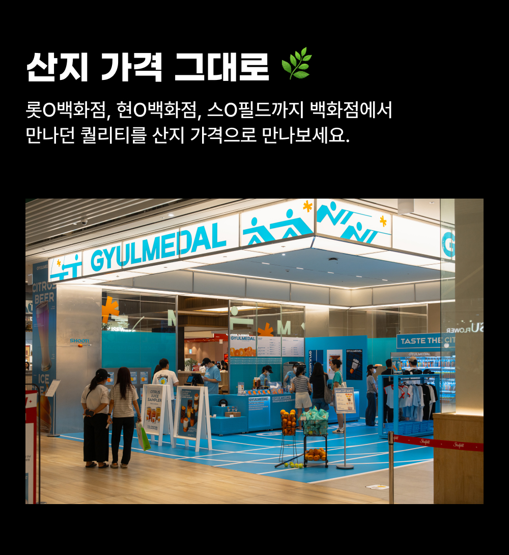 제주 황금향 가정용
