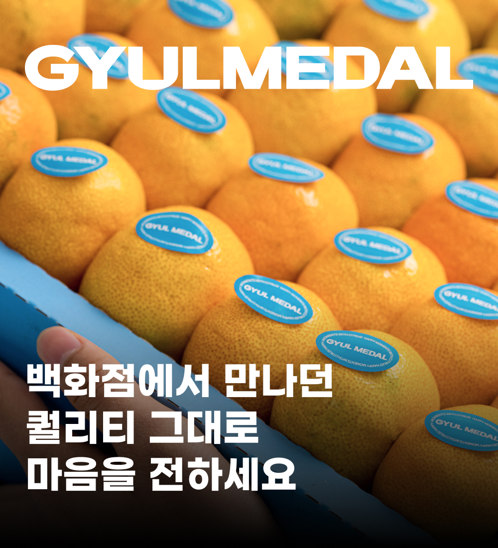 [얼리버드 특가] 제주 감귤 선물세트