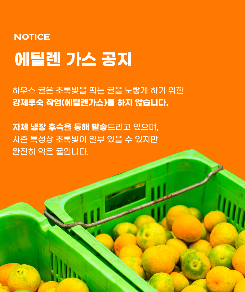 제주 하우스감귤 | 평균 12Brix 꿀당도